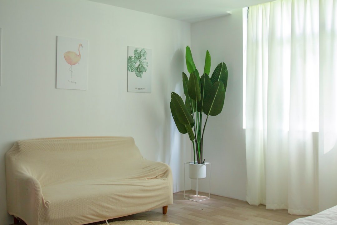 Sustainable Home Decor: Style Meets Environmental Consciousness